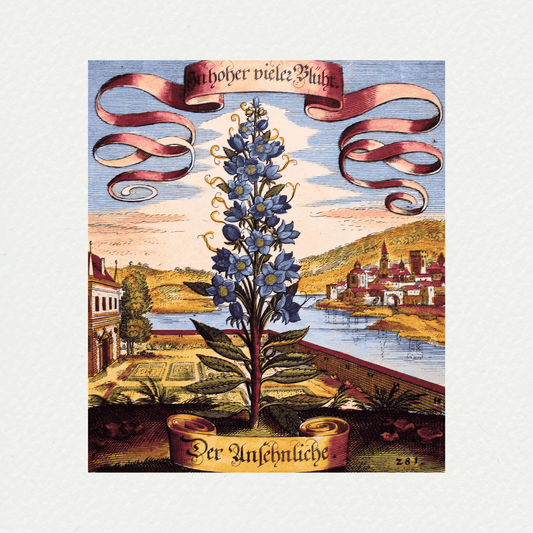 Merian Botanicals (5)