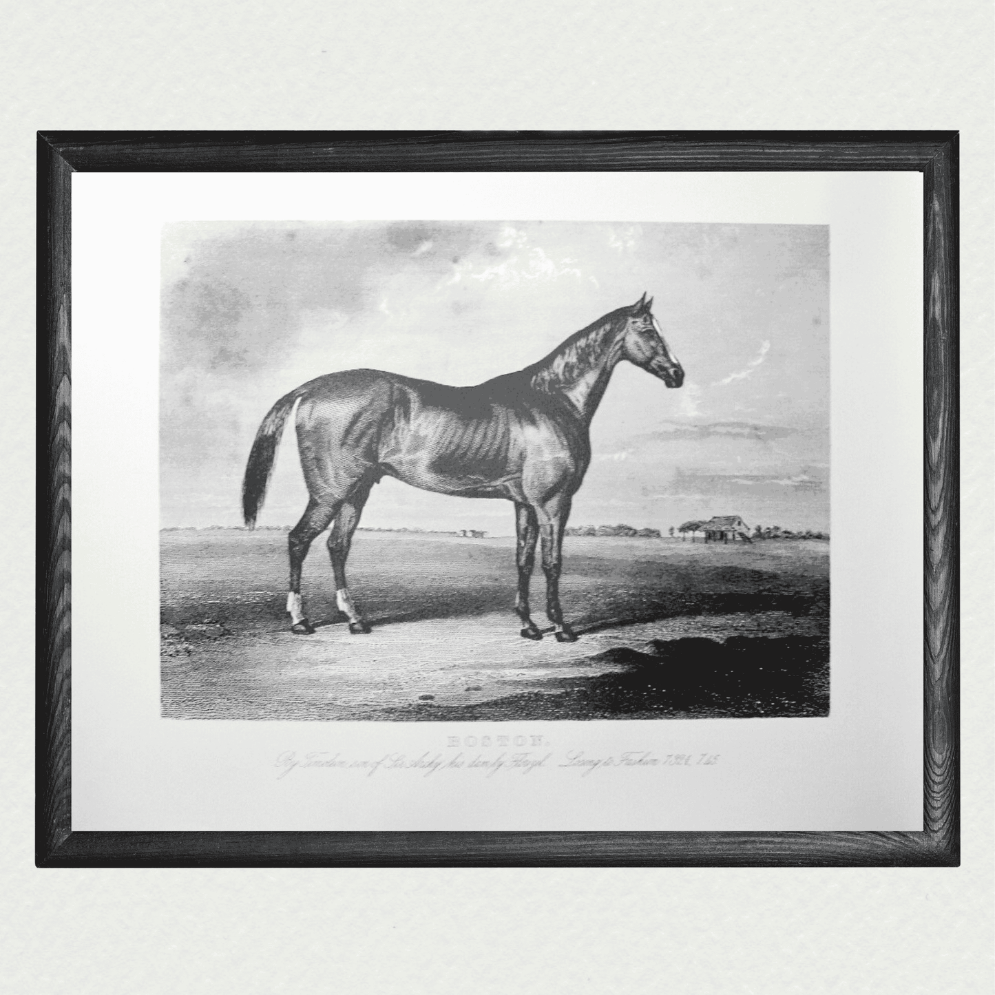 American Horses - Boston