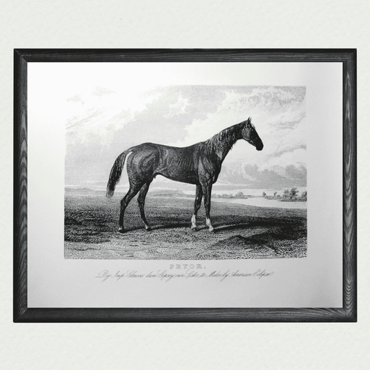 American Horses - Pryor