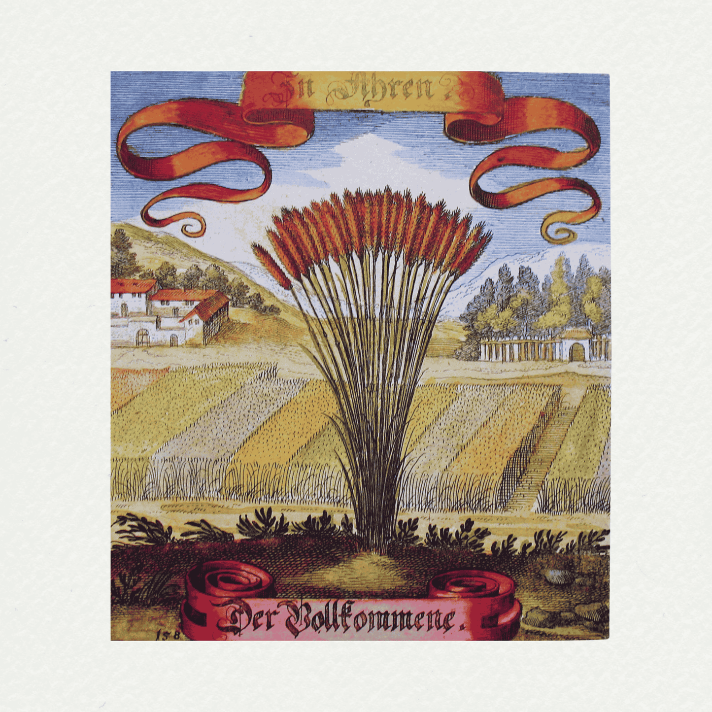 Merian Botanicals (7)