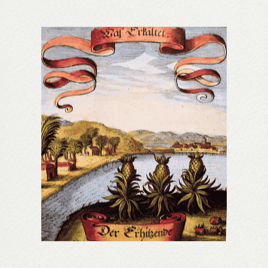 Merian Botanicals (1)