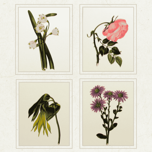 Botanic Garden (6) 435