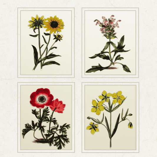 Botanic Garden (5) 434