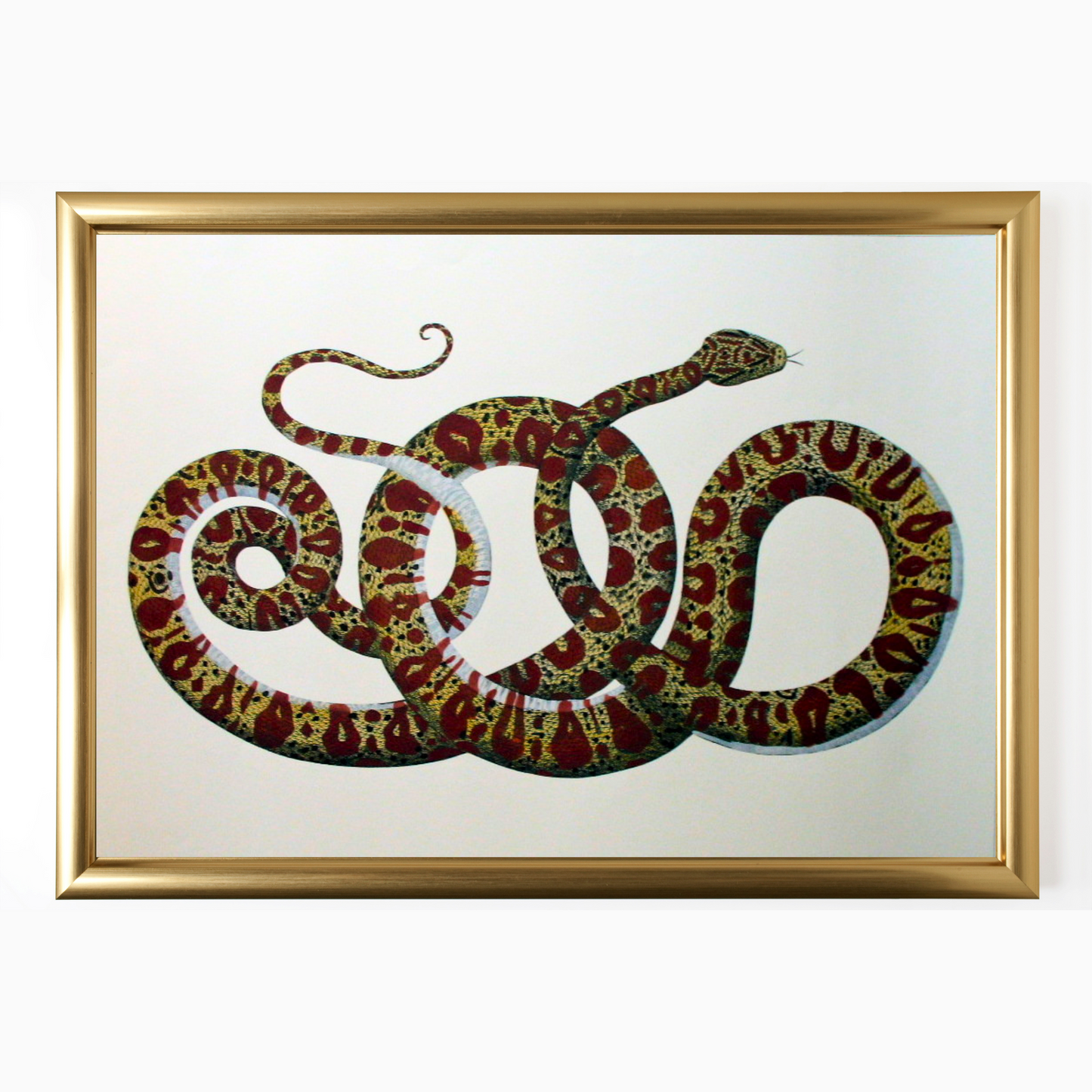 Snakes (449)