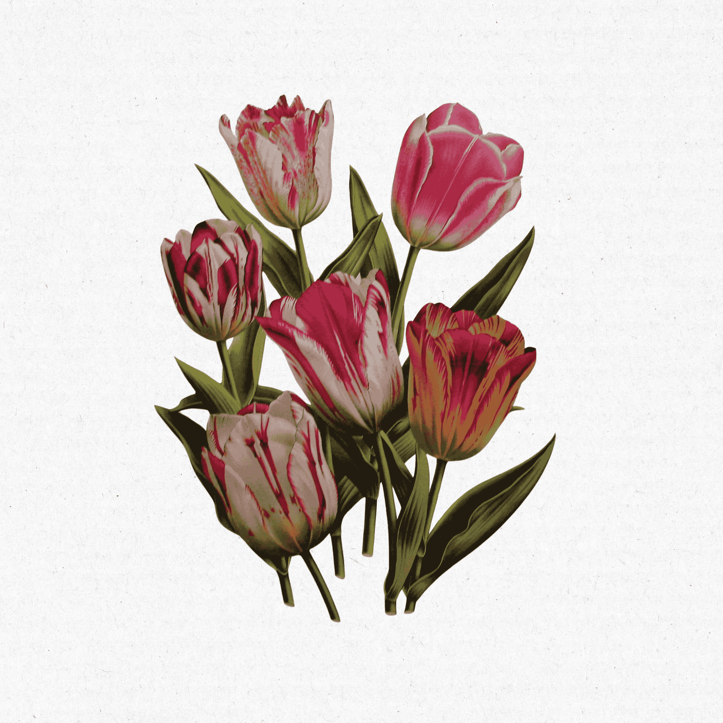 The Floral Garden (1) 490