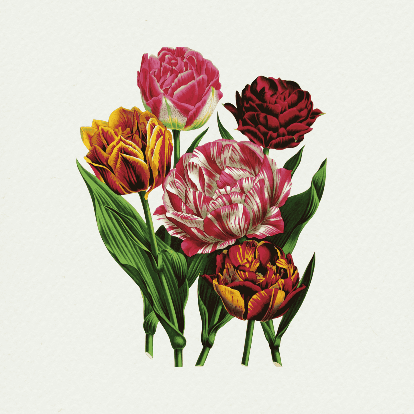 The Floral Garden (4)