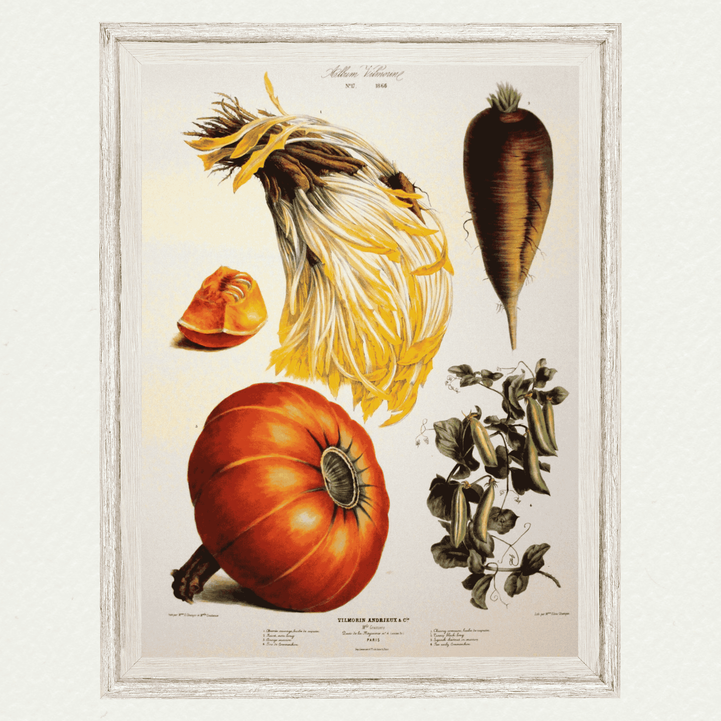 The Vegetable Garden (AV17)