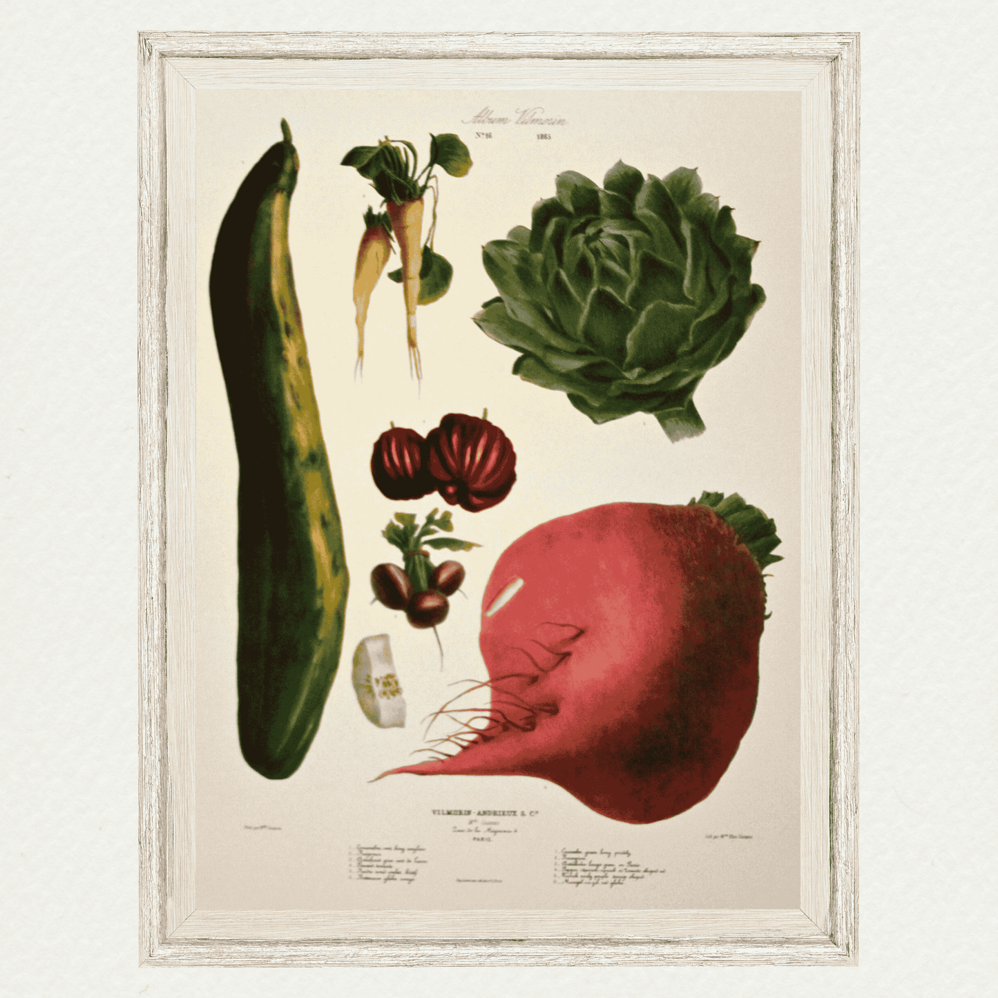 The Vegetable Garden (AV16)