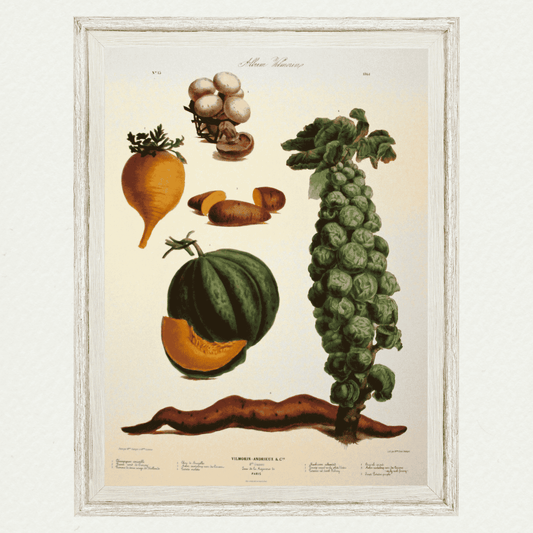 The Vegetable Garden (AV15)