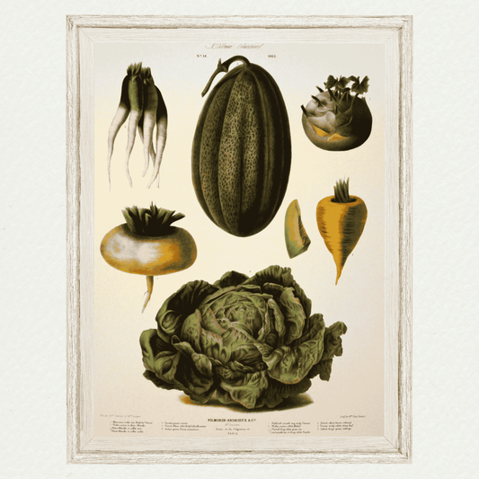 The Vegetable Garden (AV14)