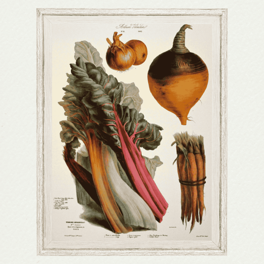 The Vegetable Garden (AV13)