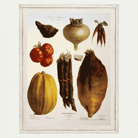 The Vegetable Garden (AV12)