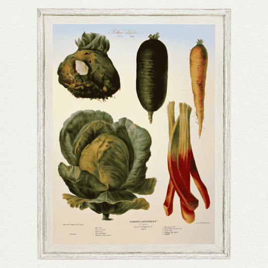 The Vegetable Garden (AV11)