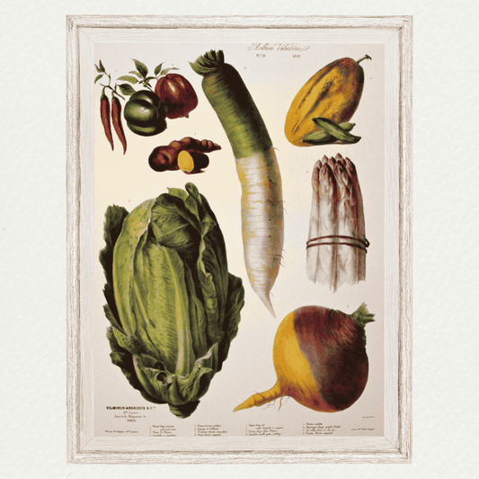 The Vegetable Garden (AV10)