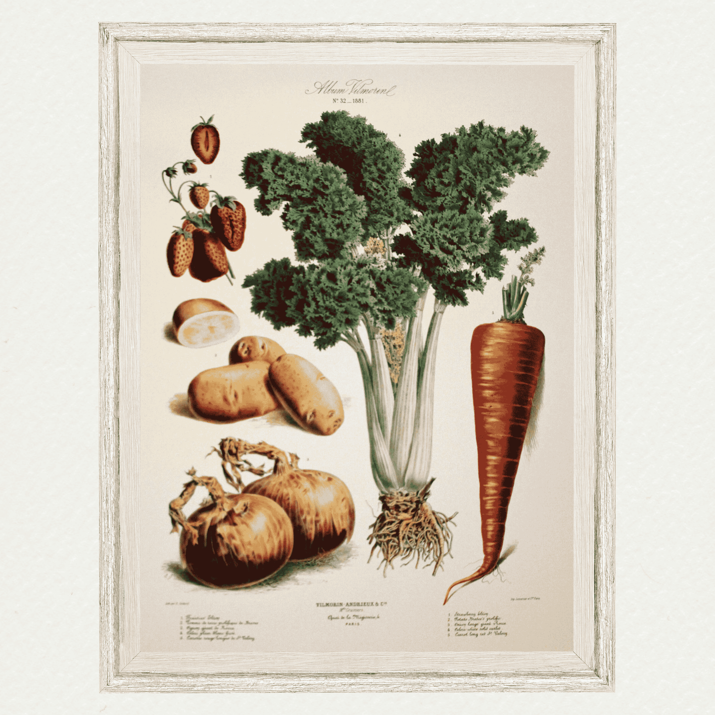 The Vegetable Garden (AV32)