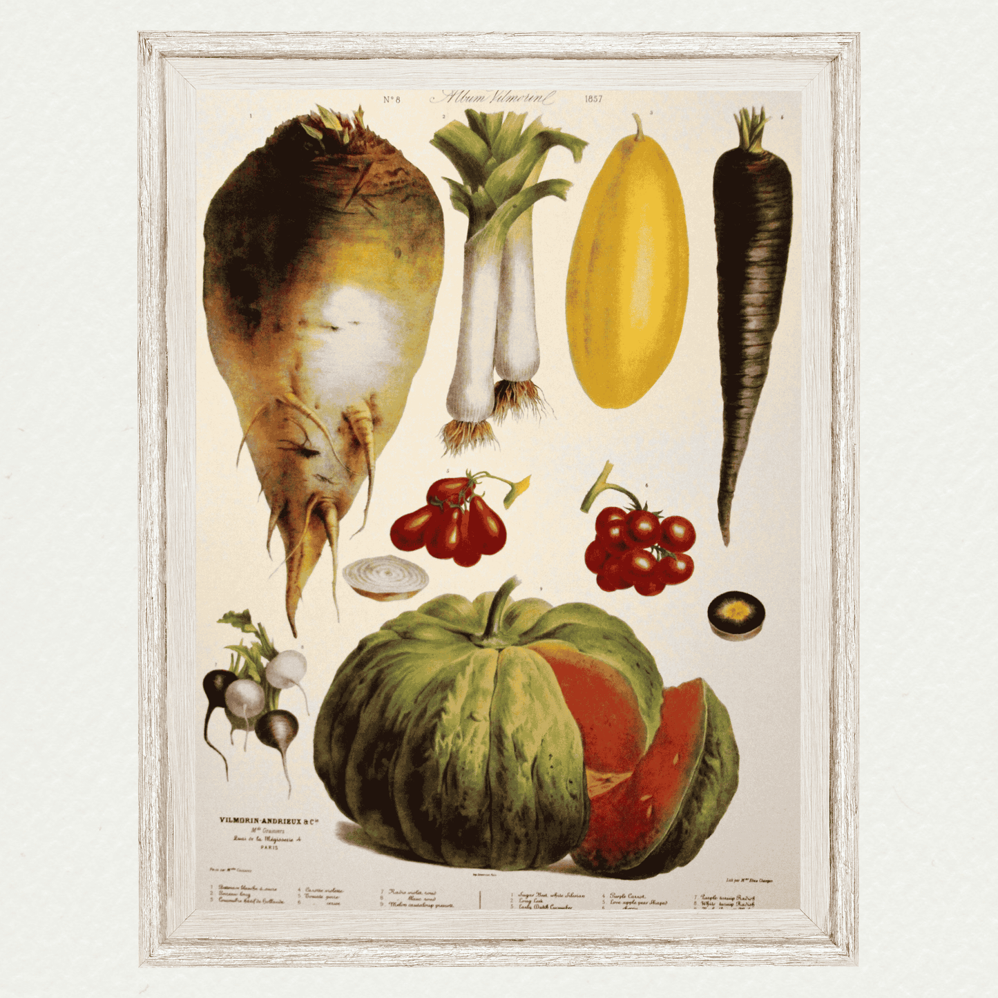 The Vegetable Garden (AV8)