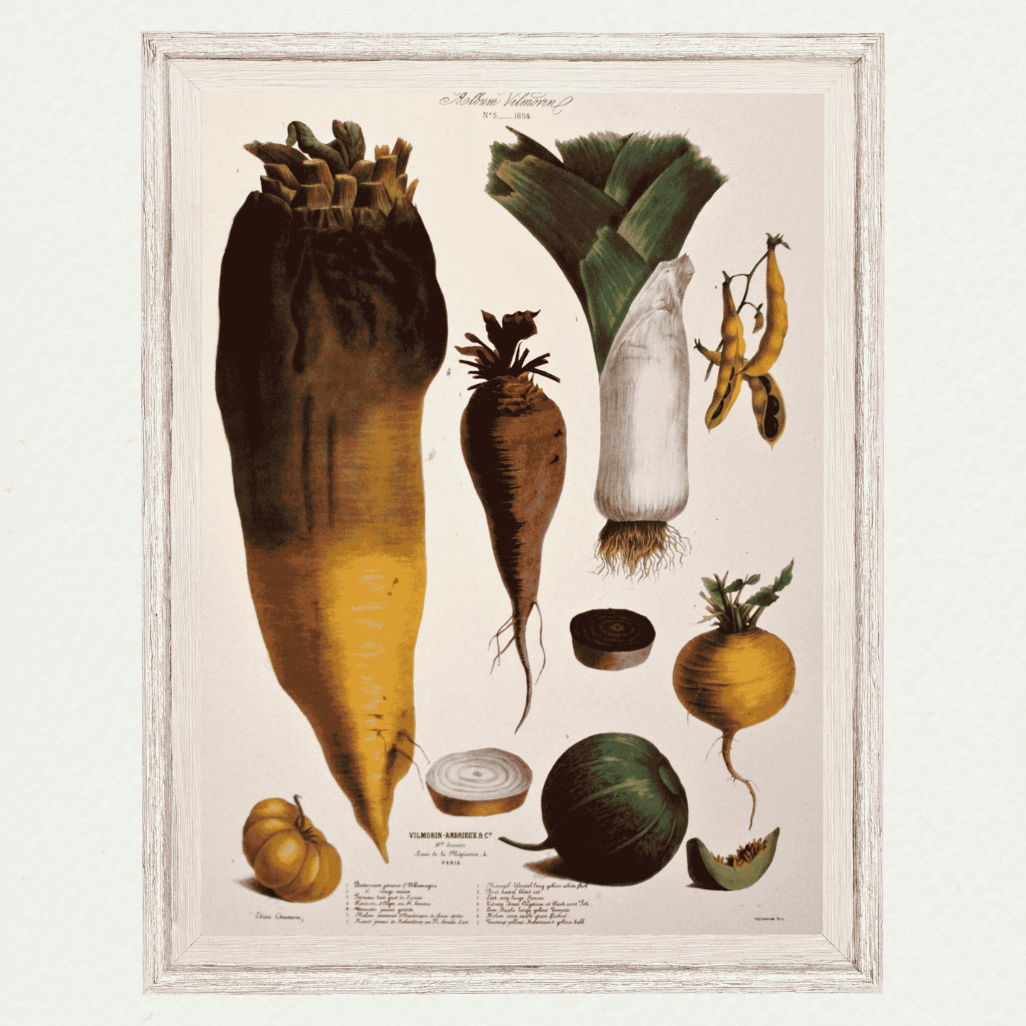 The Vegetable Garden (AV5)