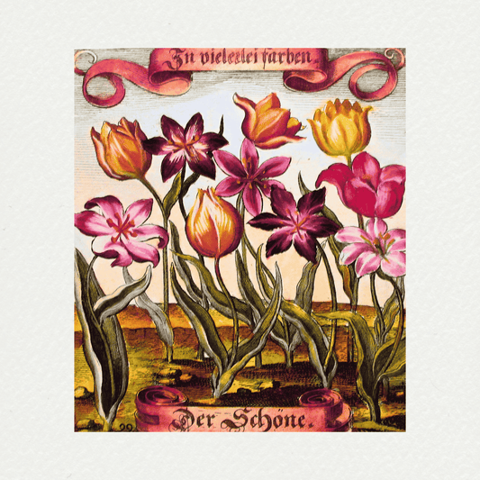 Merian Botanicals (6)