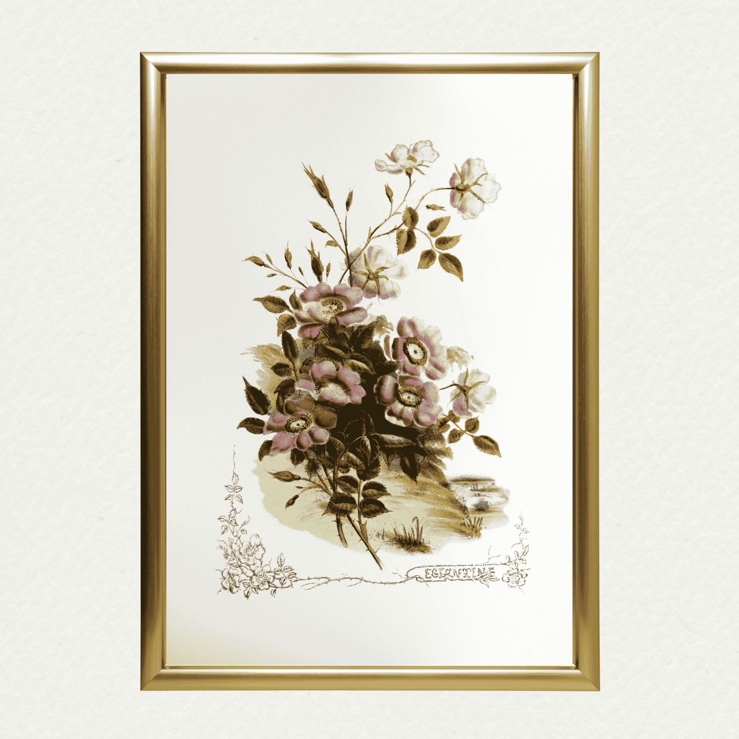 Eglantine (Victorian Flowers), by Paul Jerand 347