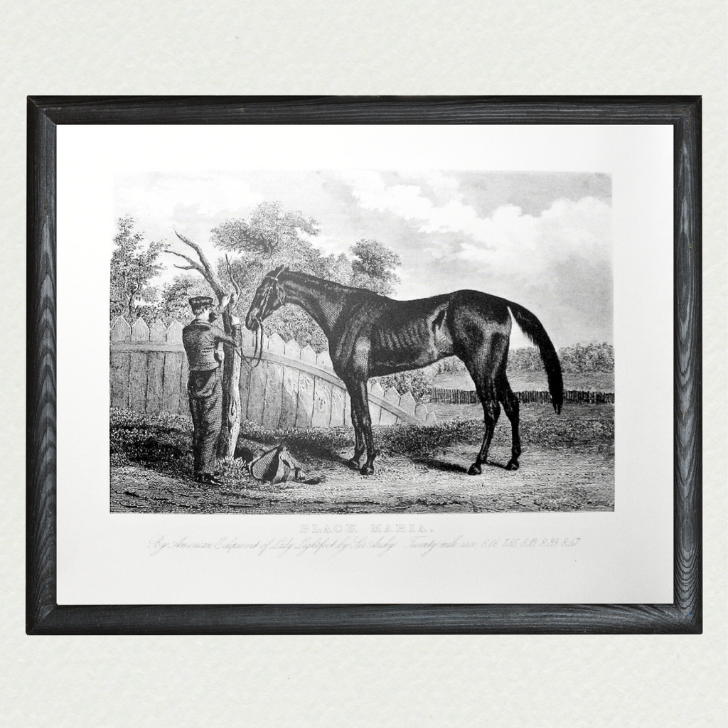 American Horses - Black Maria