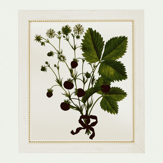 Strawberries (3)