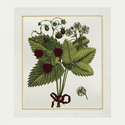 Strawberries (1)