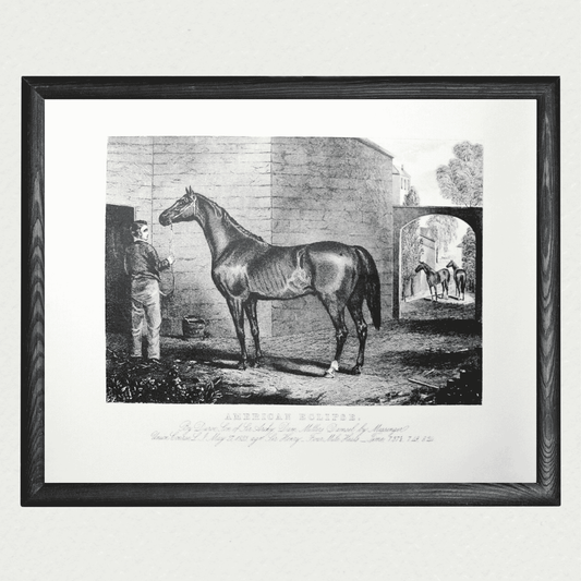 American Horses - American Eclipse