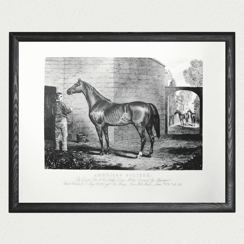 American Horses - American Eclipse