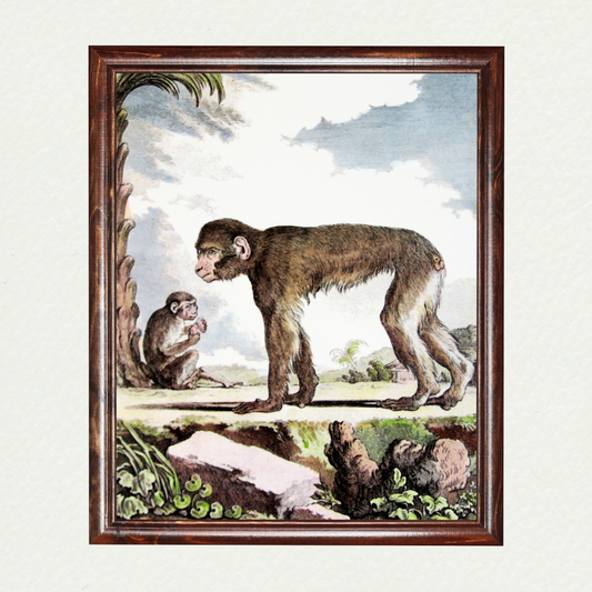 Monkey Plate II (317)