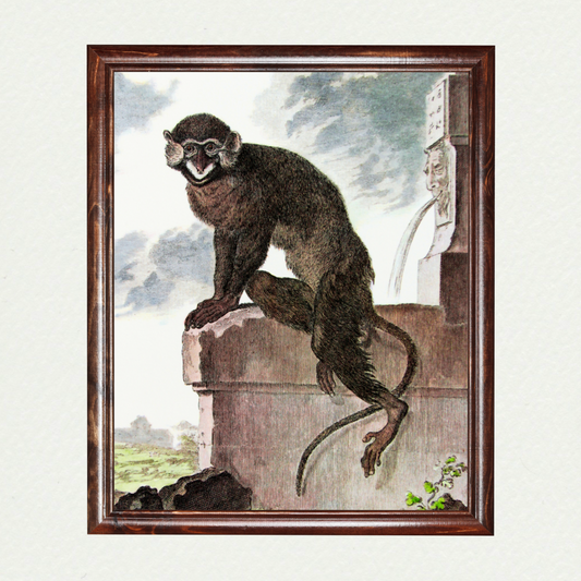 Monkey Plate VI