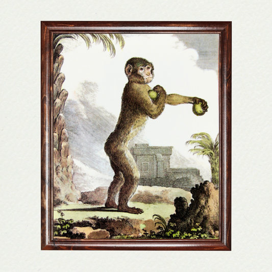 Monkey Plate V