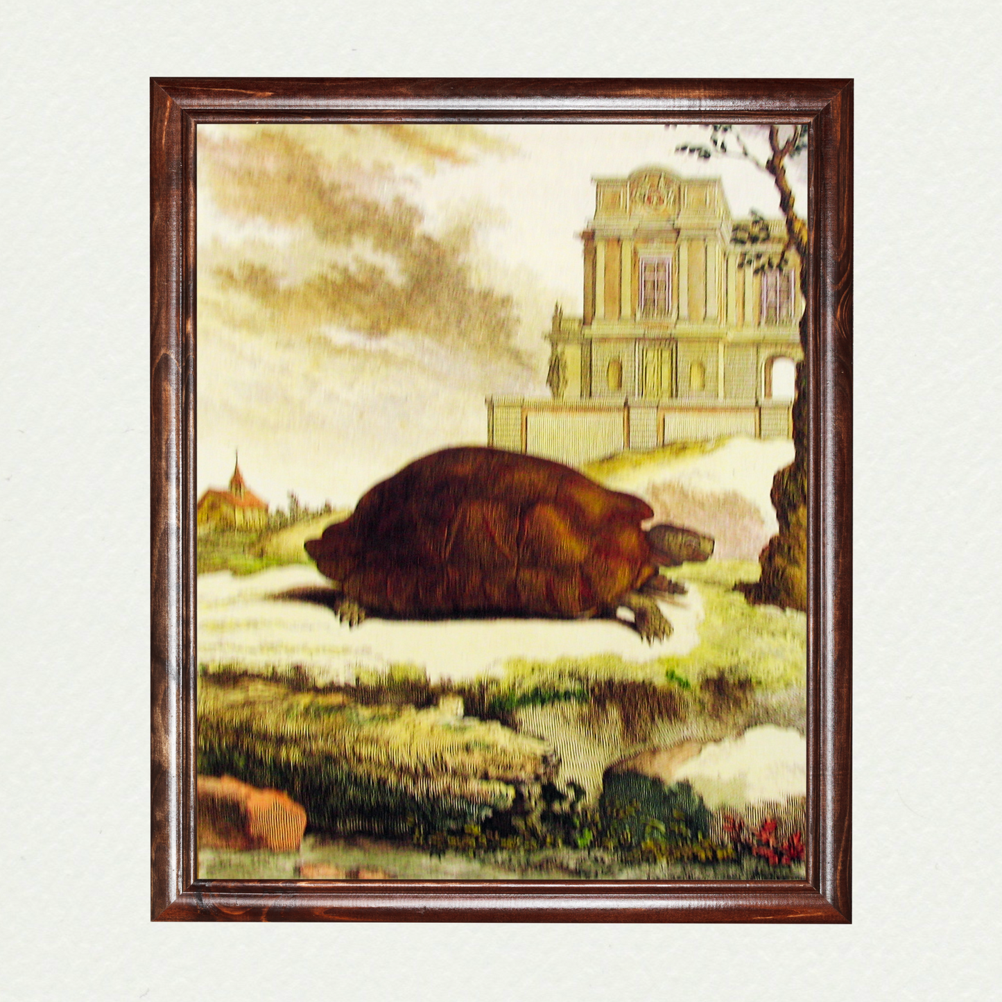 Turtle (1)