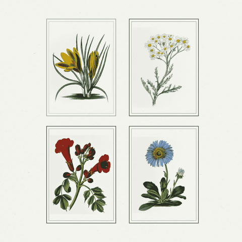 Botanic Garden (4) 433