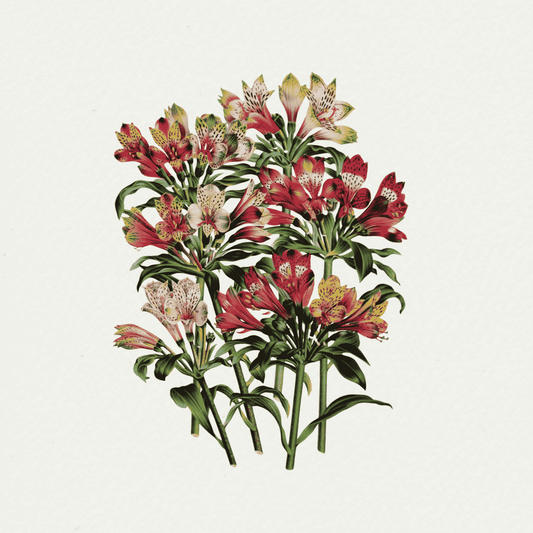 The Floral Garden (2)