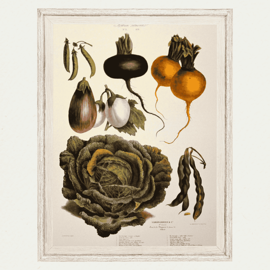 The Vegetable Garden (AV21)