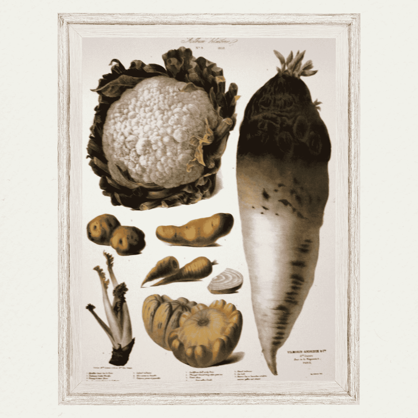 The Vegetable Garden (AV9)