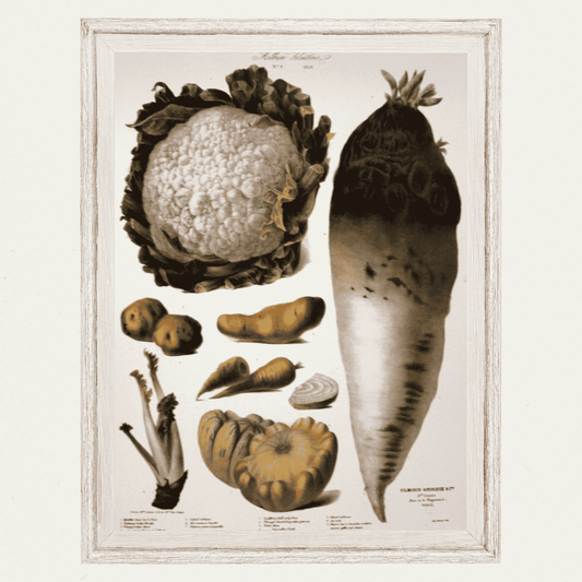The Vegetable Garden (AV9)