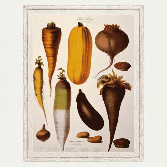 The Vegetable Garden (AV6)