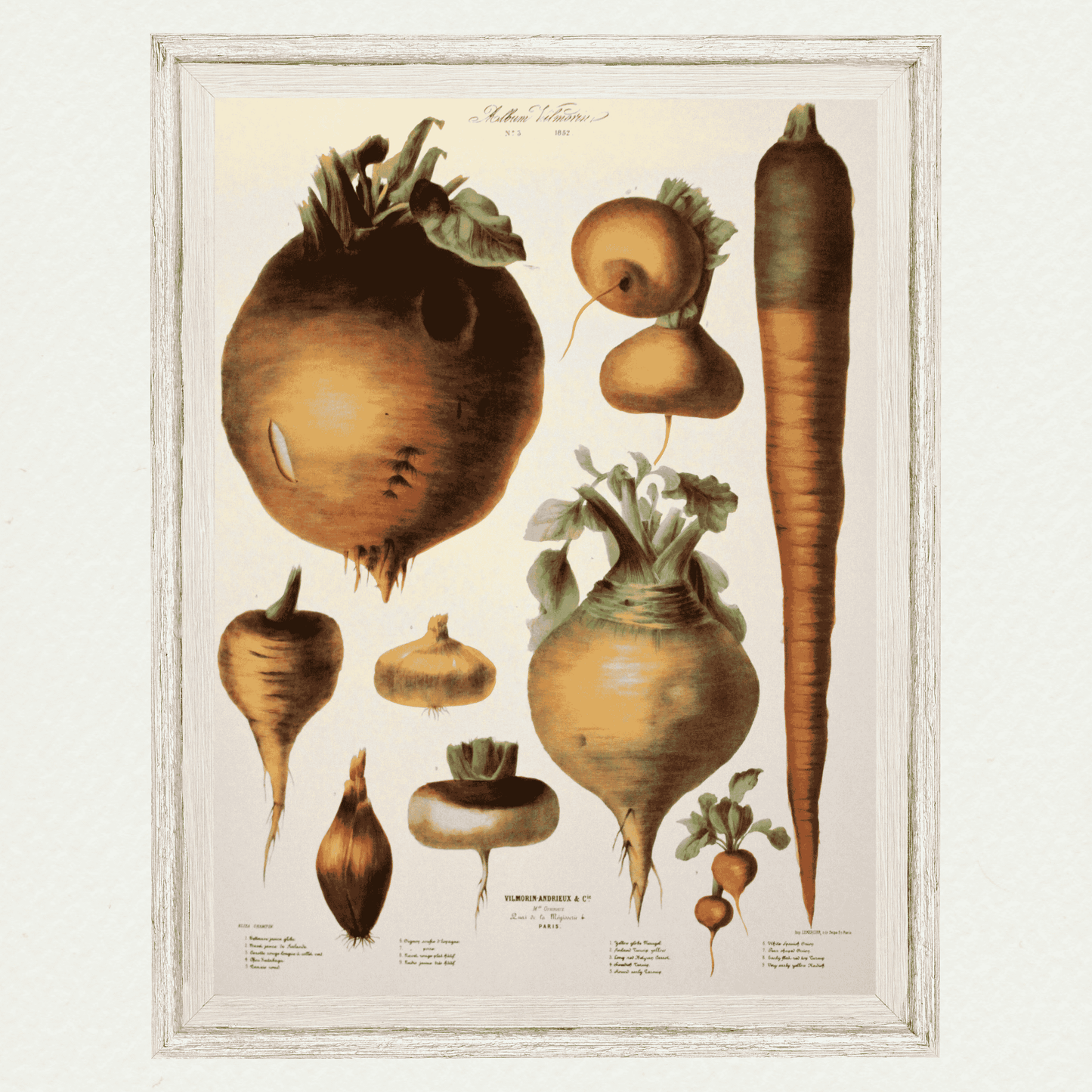 The Vegetable Garden (AV3)