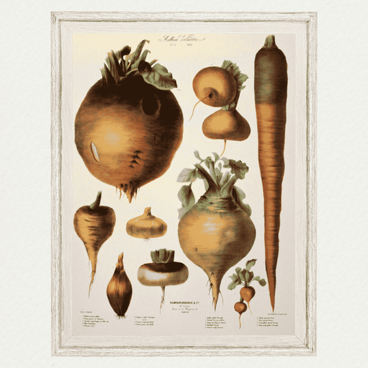 The Vegetable Garden (AV3)