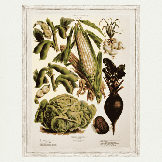 The Vegetable Garden (AV31)