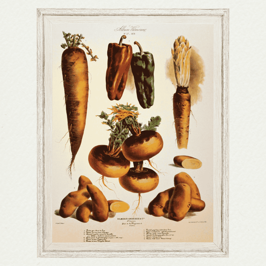 The Vegetable Garden (AV27)