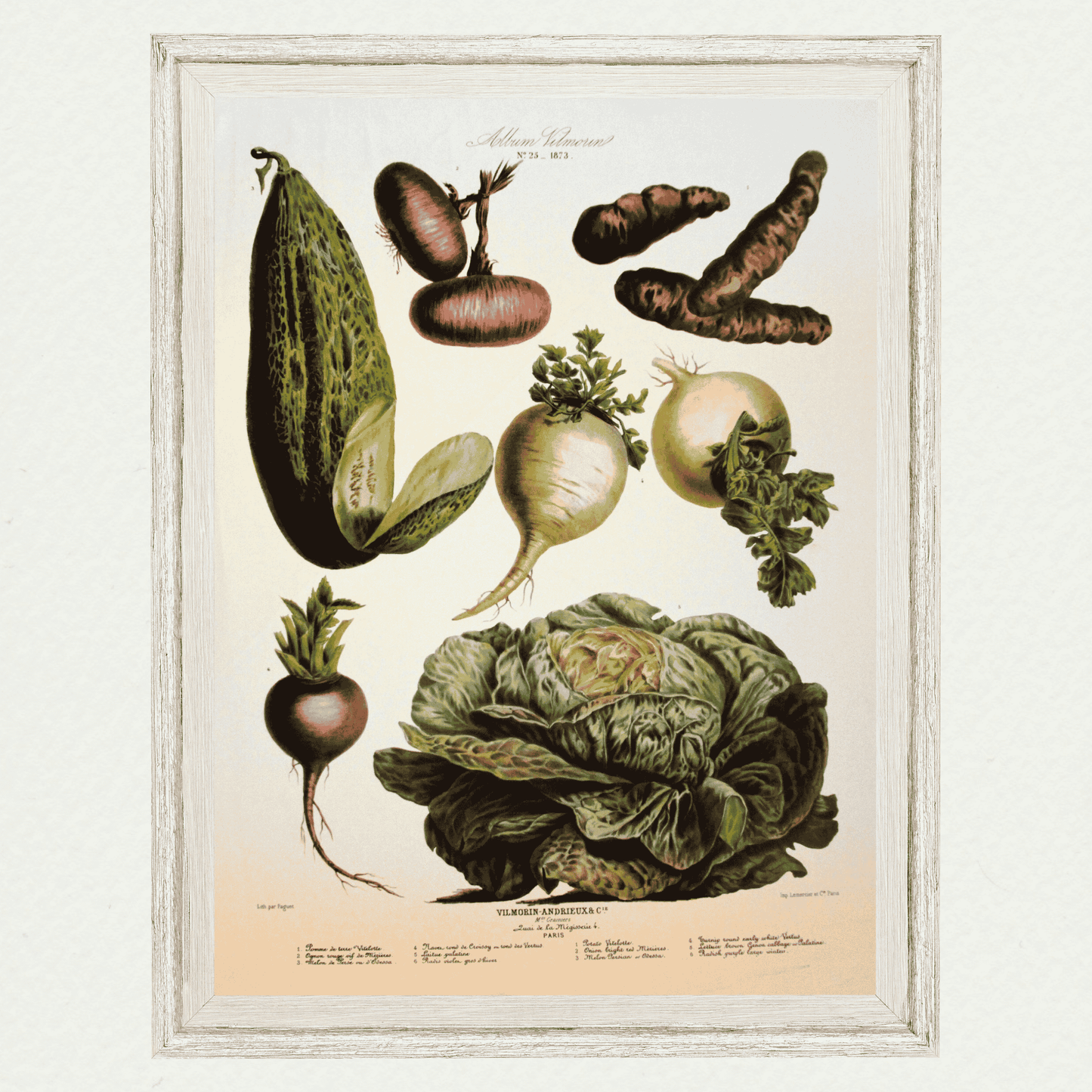 The Vegetable Garden (AV25)