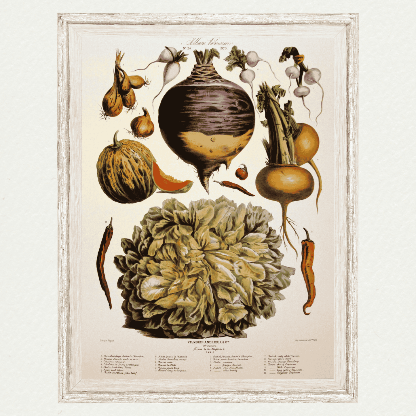 The Vegetable Garden (AV24)