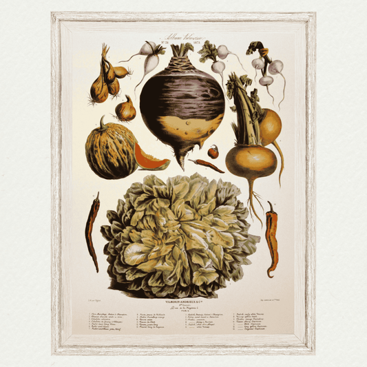 The Vegetable Garden (AV24)