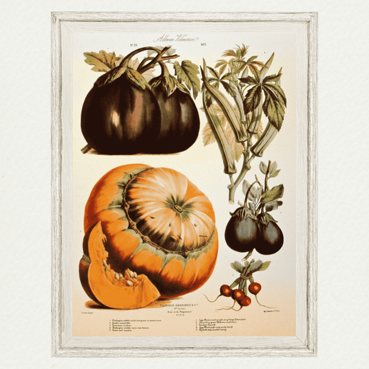The Vegetable Garden (AV23)