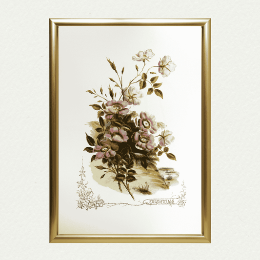 Eglantine (Victorian Flowers), by Paul Jerand 347