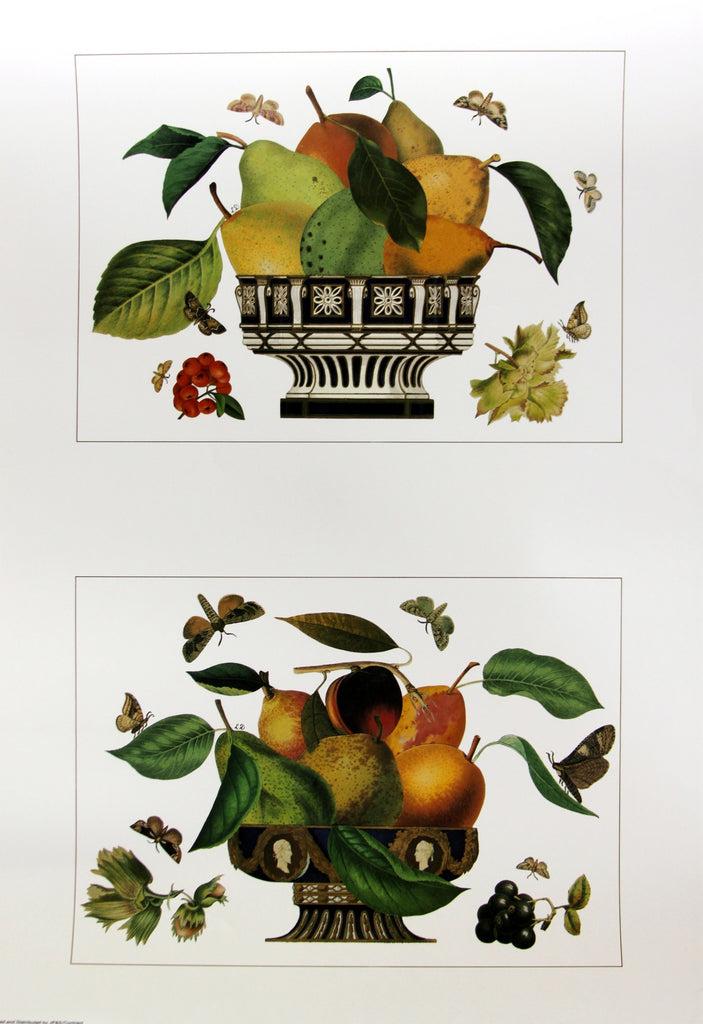 Fruits in Urns (3)