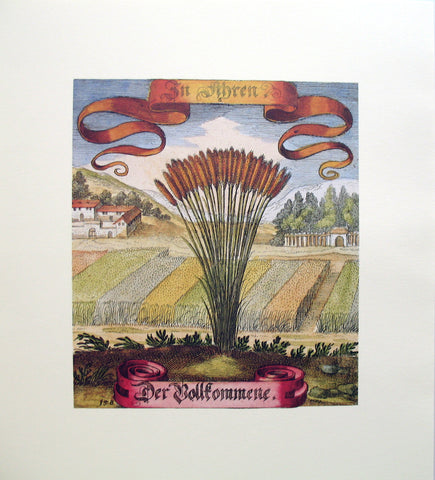 Merian Botanicals (7)