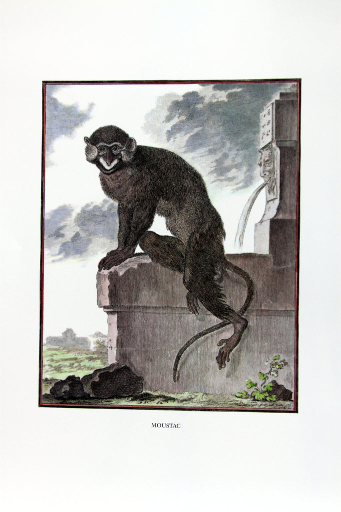 Monkey Plate VI
